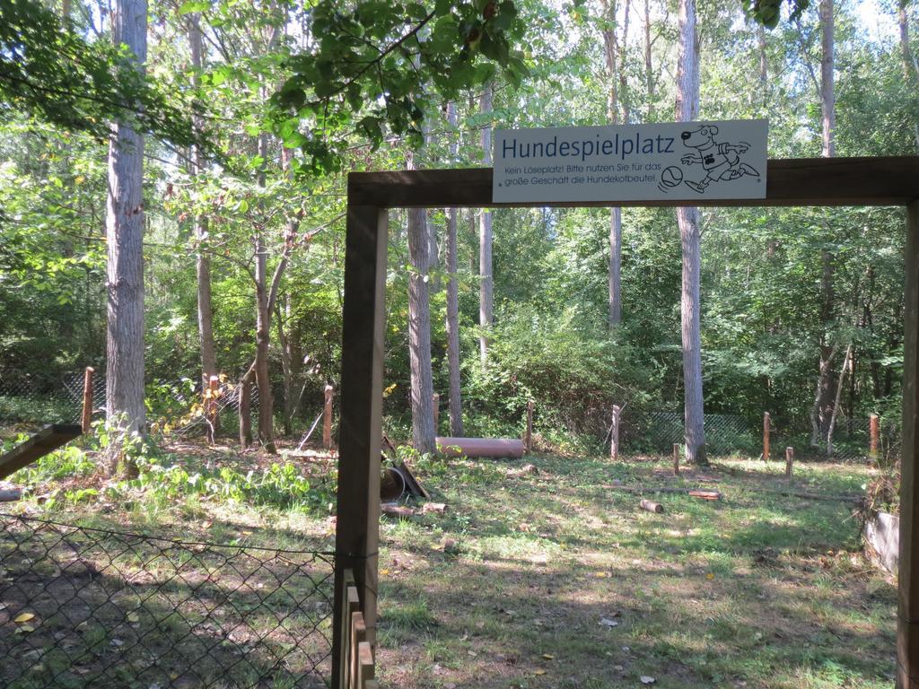Mueritzparadies - Feriendorf Alte Fahrt レヒリン エクステリア 写真
