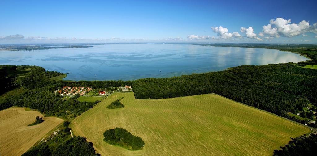 Mueritzparadies - Feriendorf Alte Fahrt レヒリン エクステリア 写真