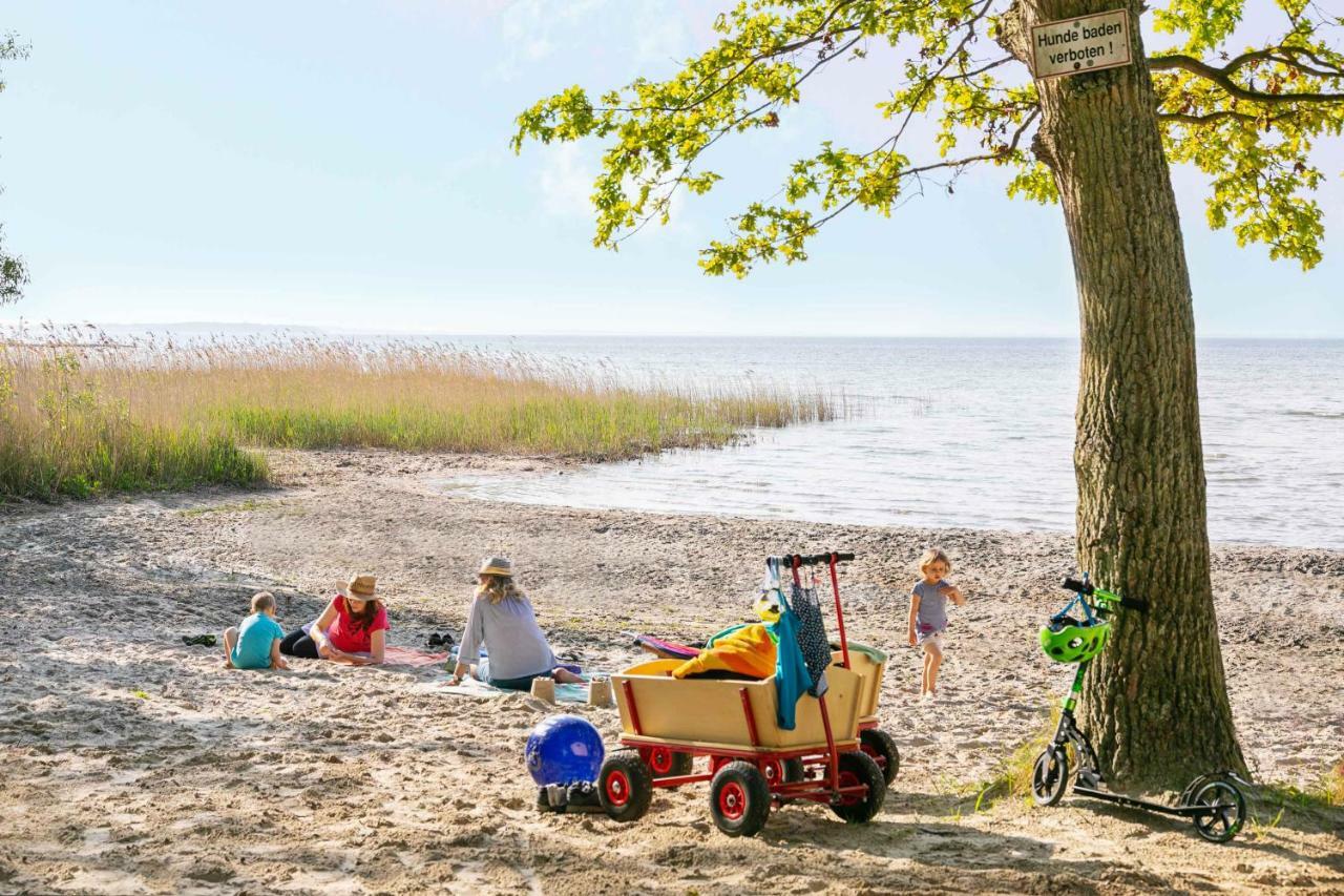 Mueritzparadies - Feriendorf Alte Fahrt レヒリン エクステリア 写真