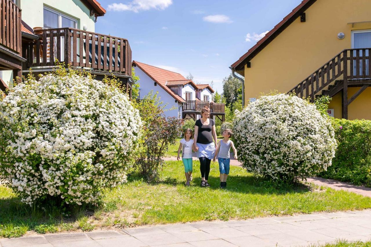 Mueritzparadies - Feriendorf Alte Fahrt レヒリン エクステリア 写真